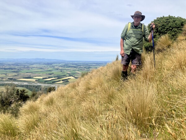 Surveyor on Ashley Gorge Skyline Track