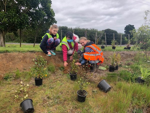 Three children on a bank in the Alexander Redoubt Reserve getting ready to plant trees on a track