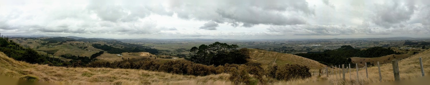 View from Mt William