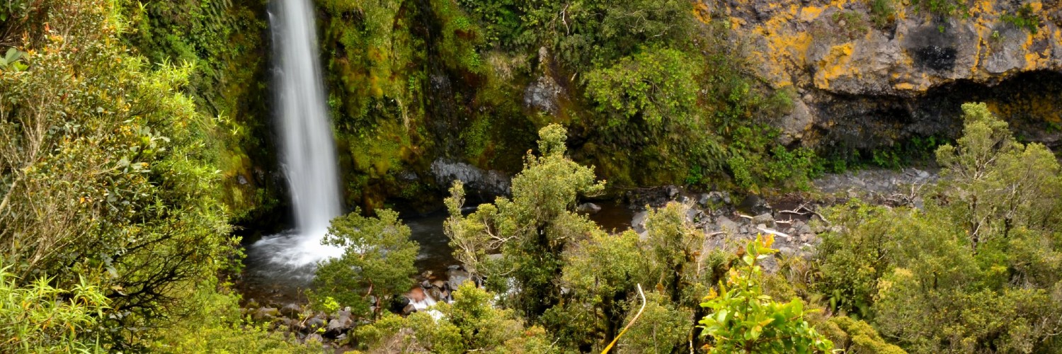 Dawson Falls