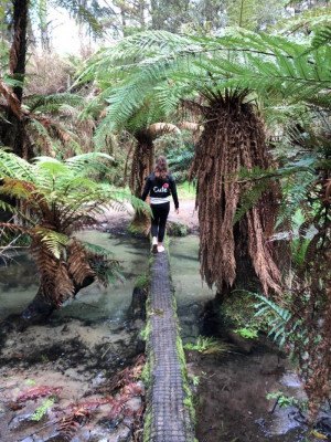 Log Walking by Kaytalia (Age 10), Ngongotaha Primary, Rotorua