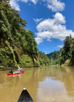On The Whanganui River by Daniel (Age 9), Adventure School, Porirua On The Whanganui River, by Daniel (9)