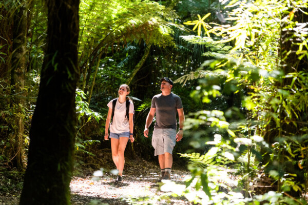 Over the Mountain Walk, Maungatautari Sanctuary