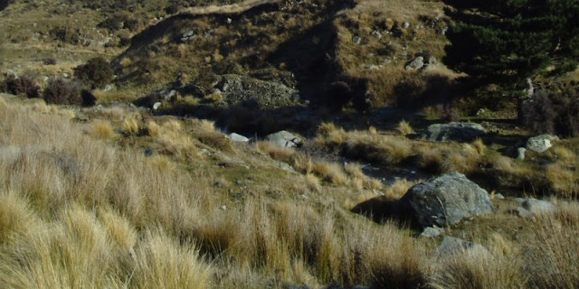 2011 Dry Acheron Track