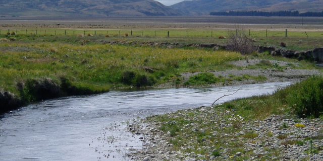 Grays River