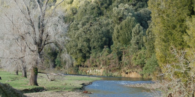 Upper Awakino River