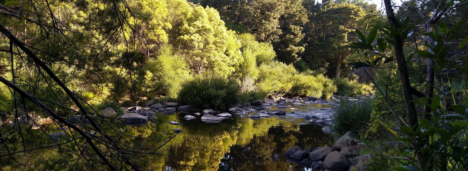 Kerikeri's secret waterfall