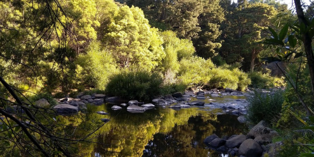 Kerikeri's secret waterfall