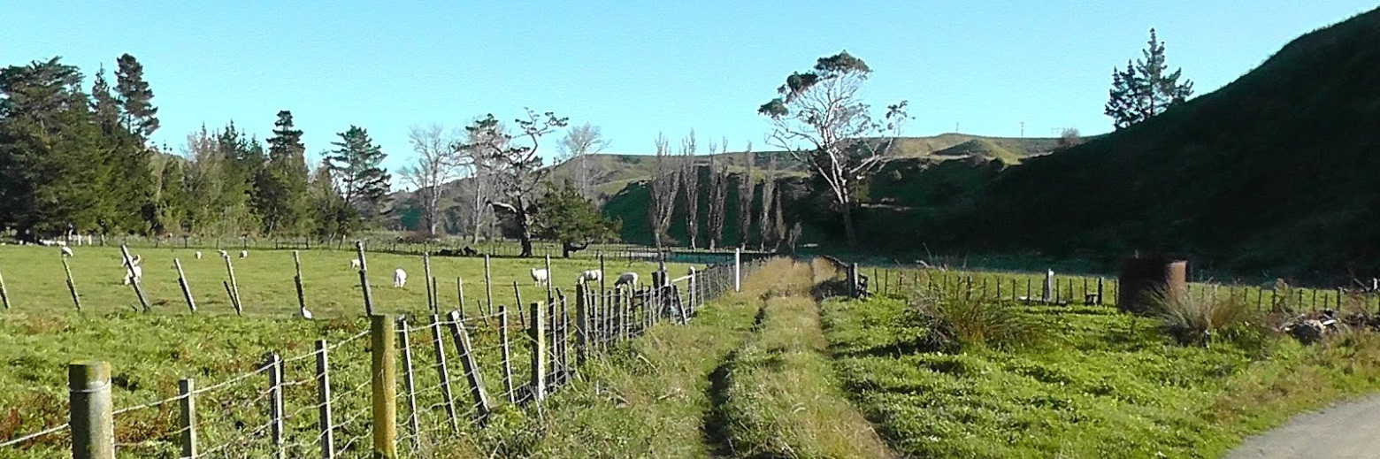 2012 Westmere Walkway in Whanganui
