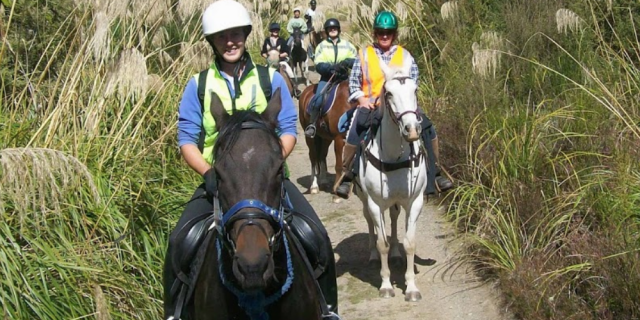 2013 Horse riding on the Returuke Trail in National Park