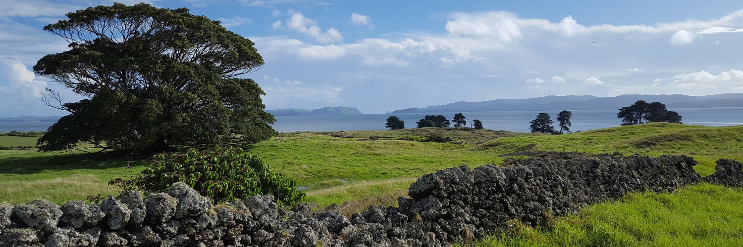 Otuataua Stonefields 1