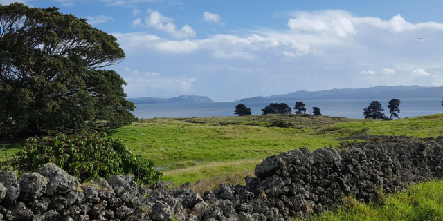 Otuataua Stonefields 1