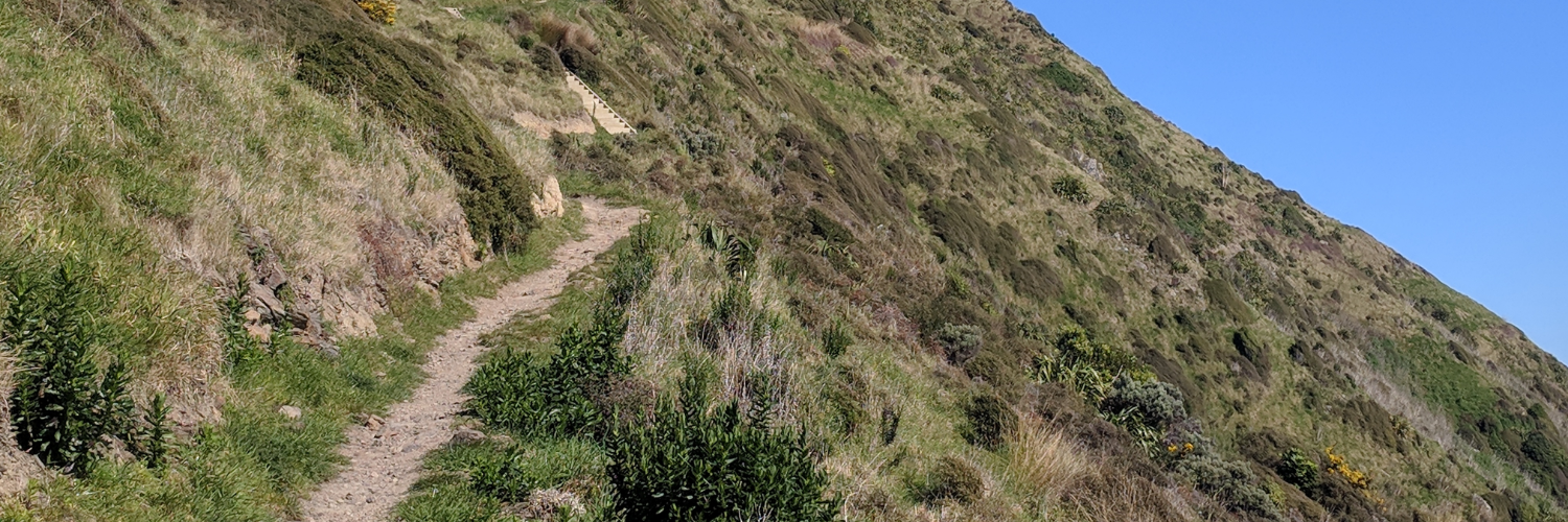 Paekakariki Escarpment Track