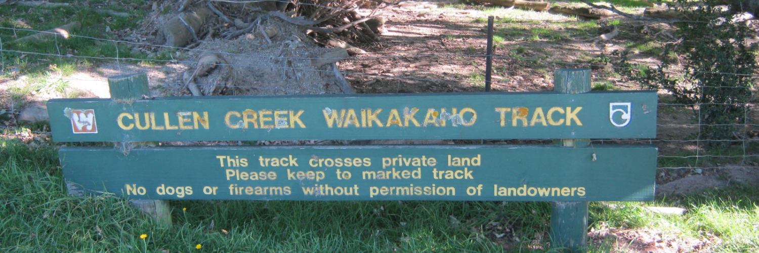 Cullen Creek Waikakaho Valley
