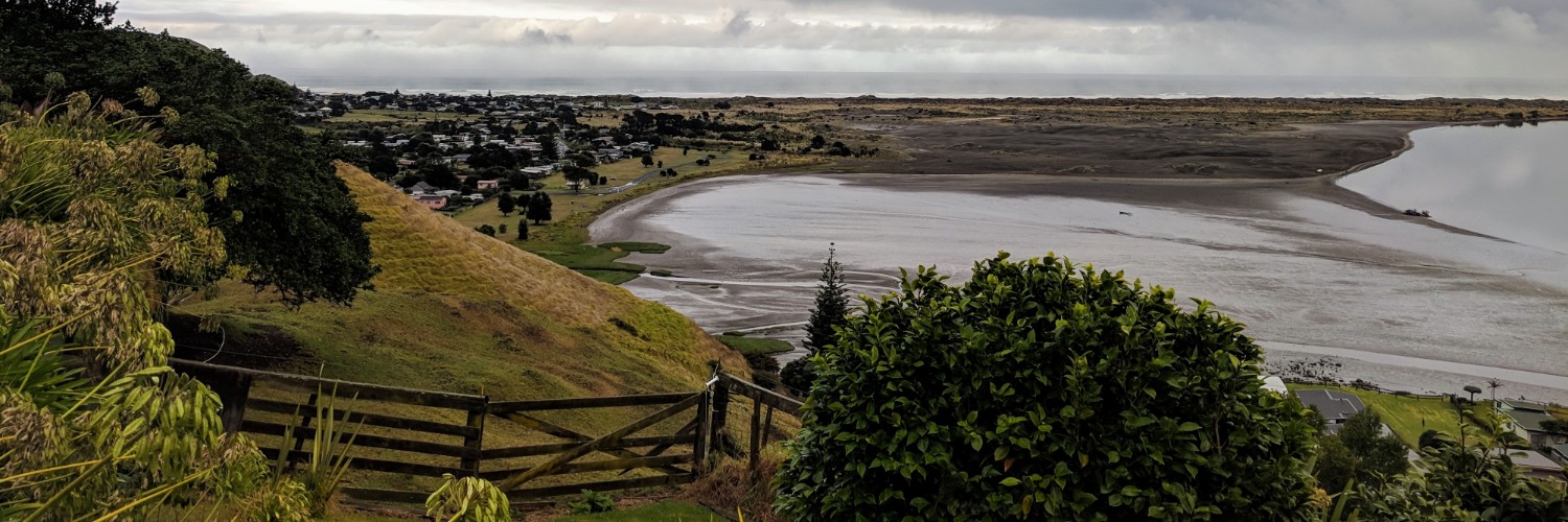 Port Waikato