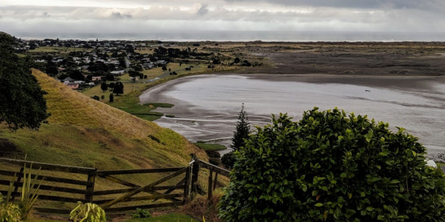 Port Waikato