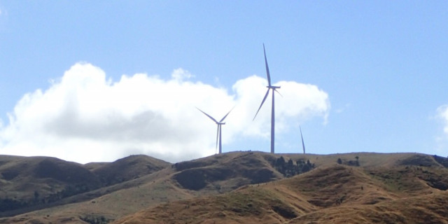 Pipiwharauroa Trail