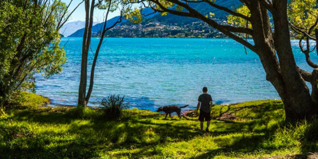 Peace Park Lake Wakatipu dog walk