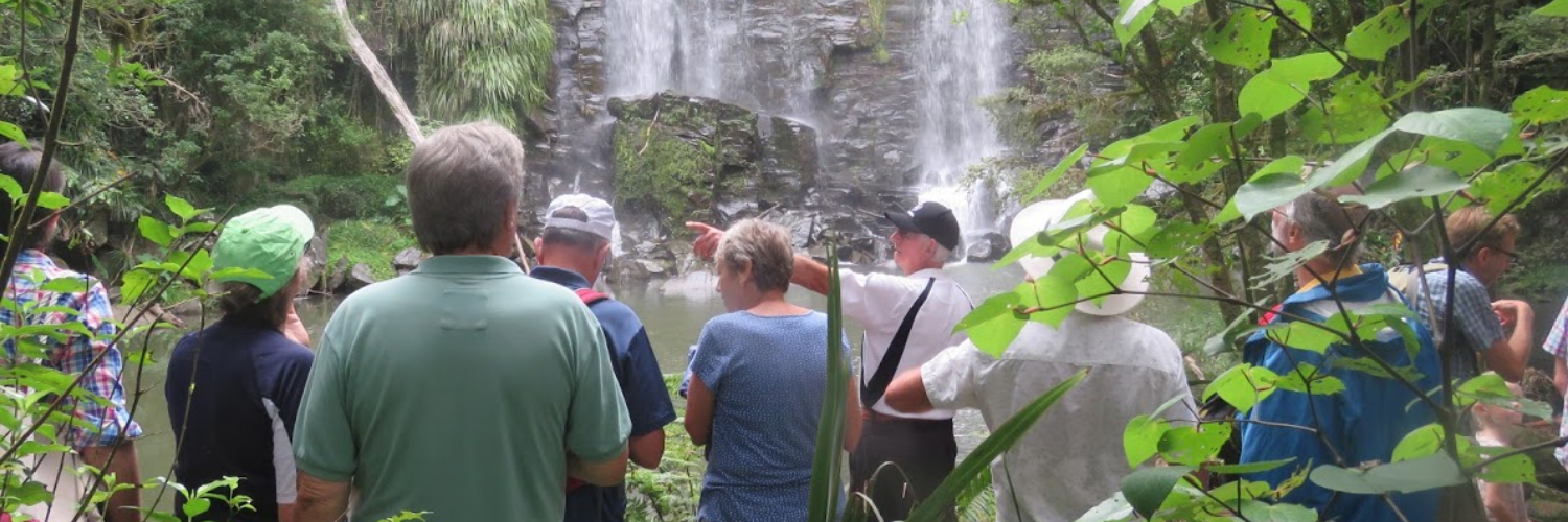 Kerikeri waterfall