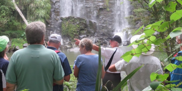 Kerikeri waterfall