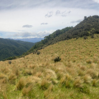 Ashley Gorge Skyline Track