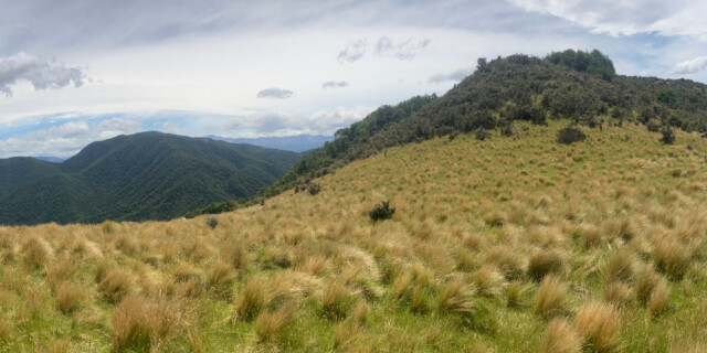 Ashley Gorge Skyline Track