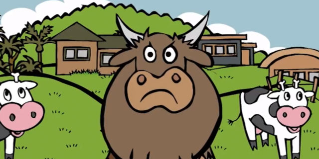 Public Land YouTube