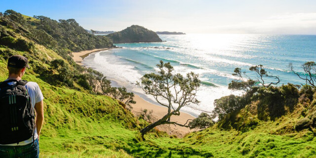 Daisy Bay Tutukaka Coast credit Iain Urquhart large