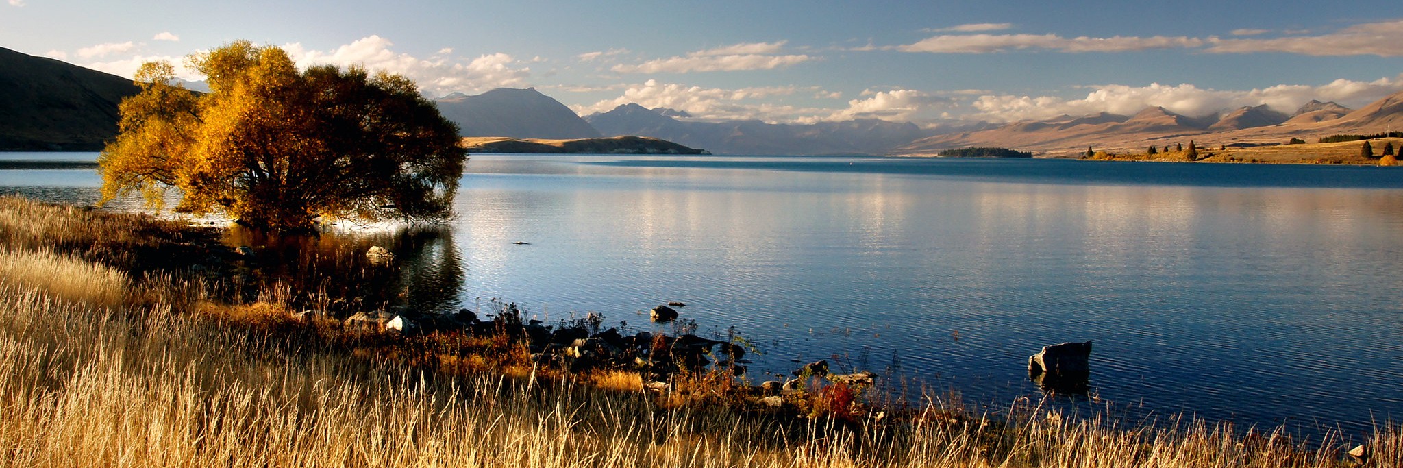 Evening Lake Tekapo NZ