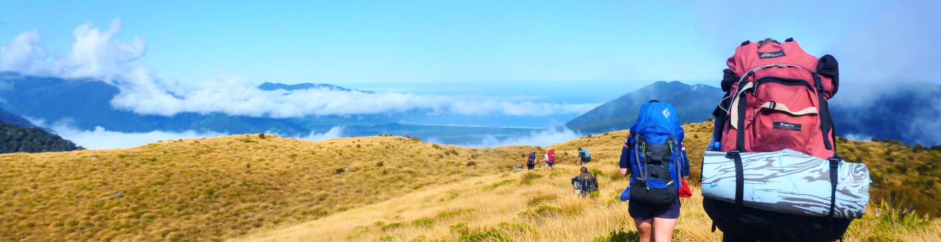 Fiordland hiking