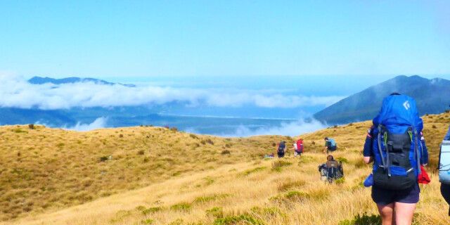 Fiordland hiking