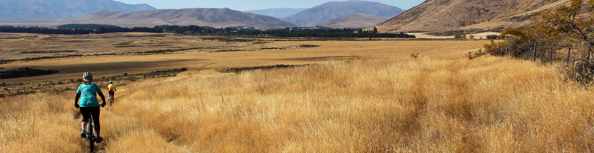 Freewheeling down the grassy slopes of the central Otago high country on the A2O Alps to Ocean bike trail 2014