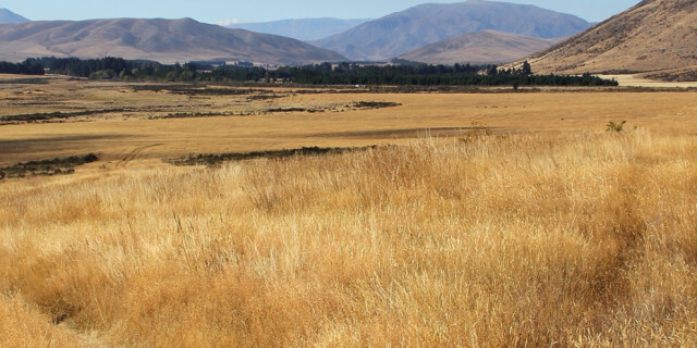 Freewheeling down the grassy slopes of the central Otago high country on the A2O Alps to Ocean bike trail 2014