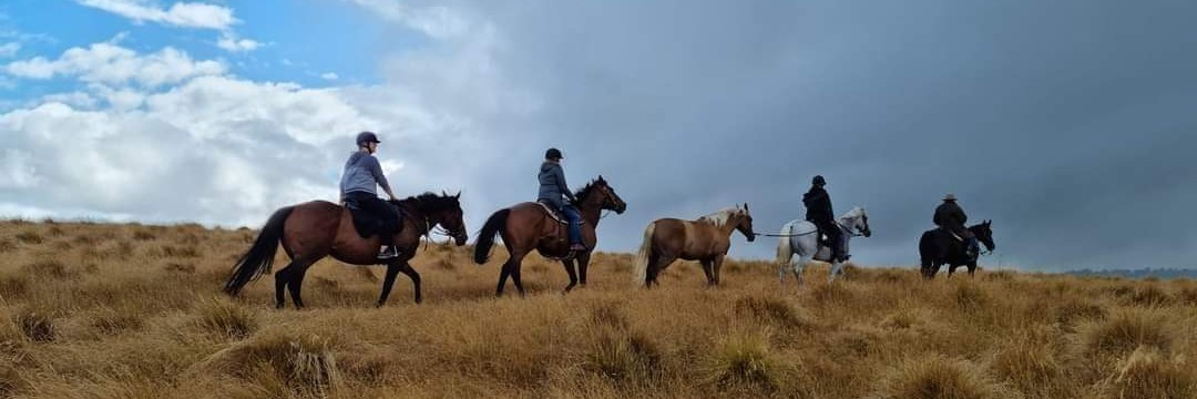 Horse Riders on Kennedys Bush Track