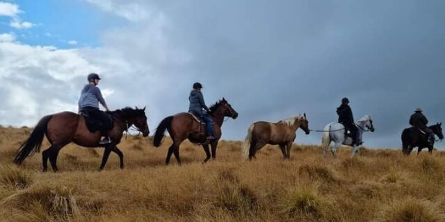 Horse Riders on Kennedys Bush Track