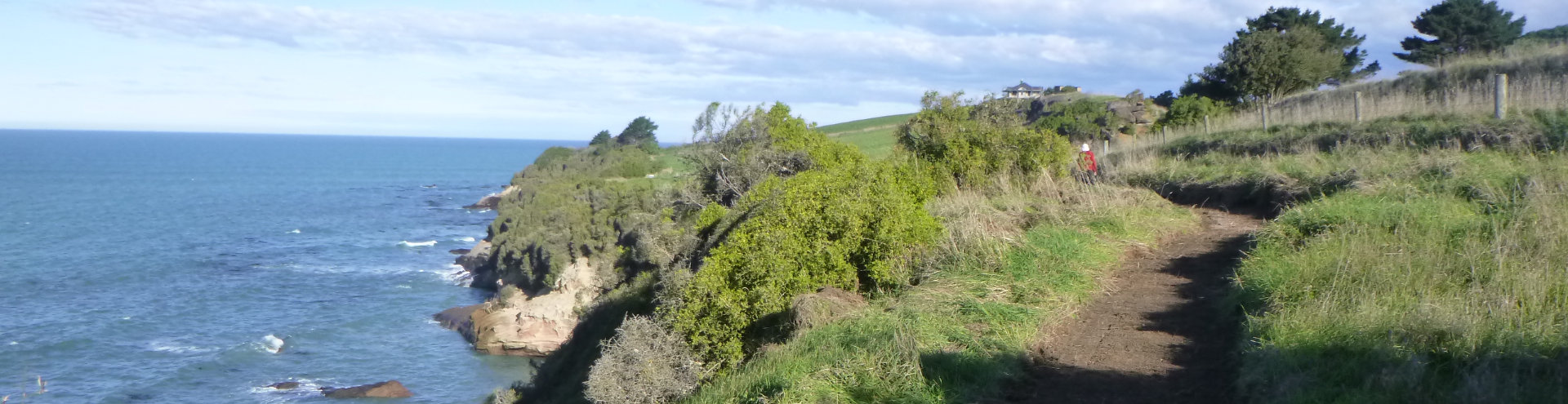 Kakanui Walk banner
