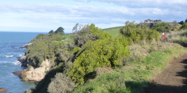 Kakanui Walk banner