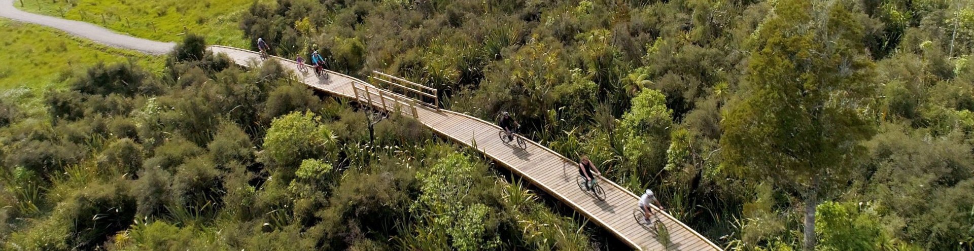 Kawatiri Coastal Trail