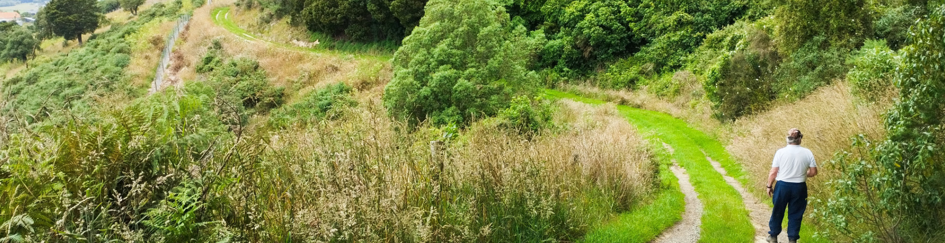 Ko te Ara ā Taane Walkway