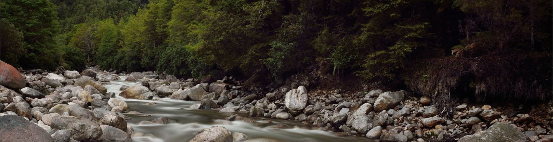 Little Wanganui River Wangapeka Track