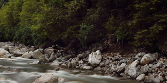 Little Wanganui River Wangapeka Track