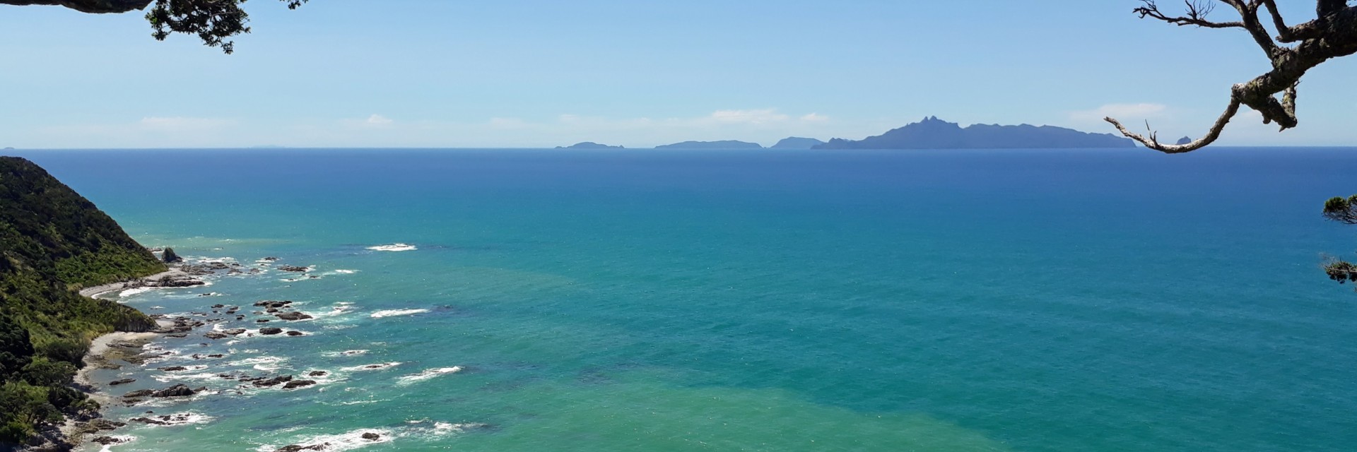 Mangawhai Walkway cover hero