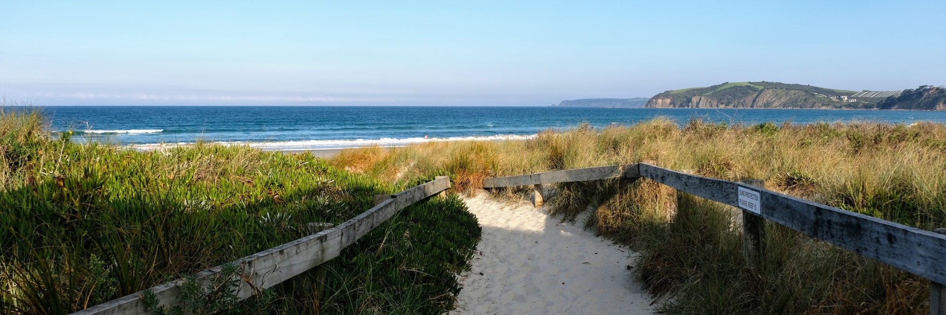 Matakana Beach