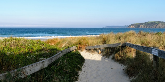 Matakana Beach