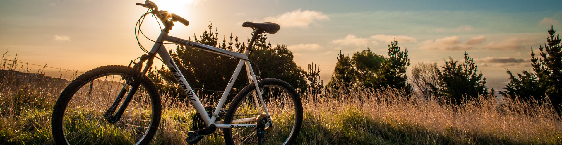 Mountain bike MTB Christchurch