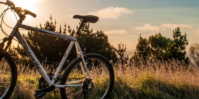 Mountain bike MTB Christchurch