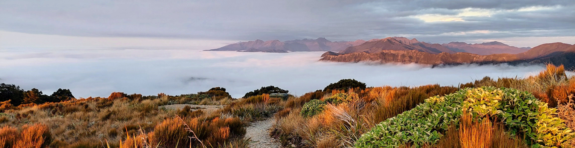 Paparoa Track