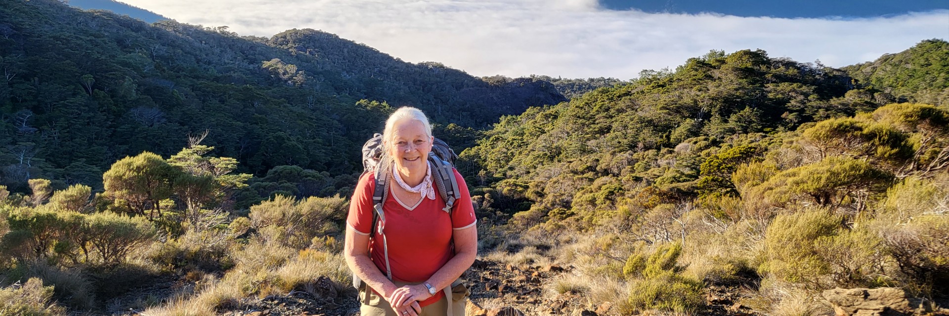 Penny Wardell Te Hoiere the Pelorus Valley