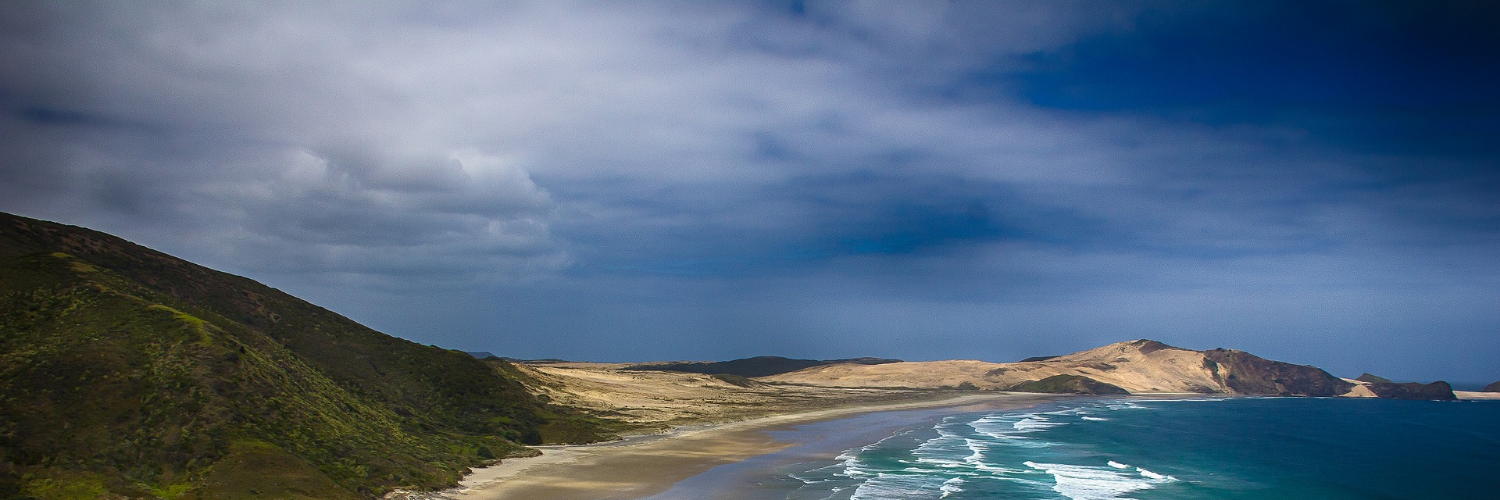 NZ beach 1