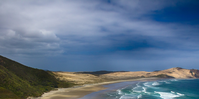 NZ beach 1